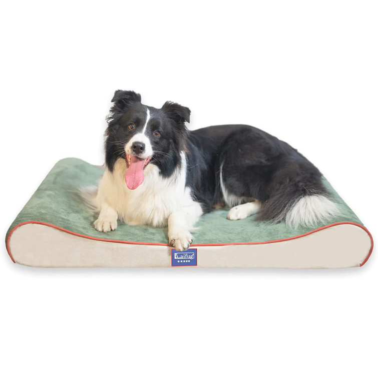 When Should I Replace My Dogs Bed